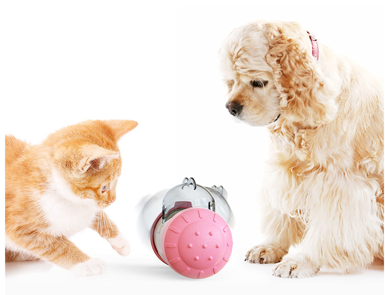 Treat Leaking Toy for Dogs and Cats