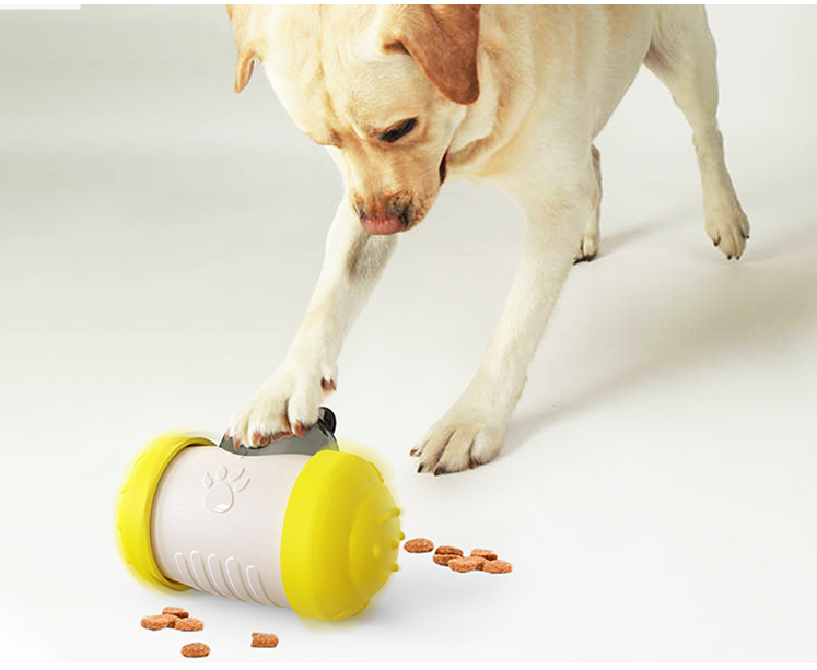 Treat Leaking Toy for Dogs and Cats
