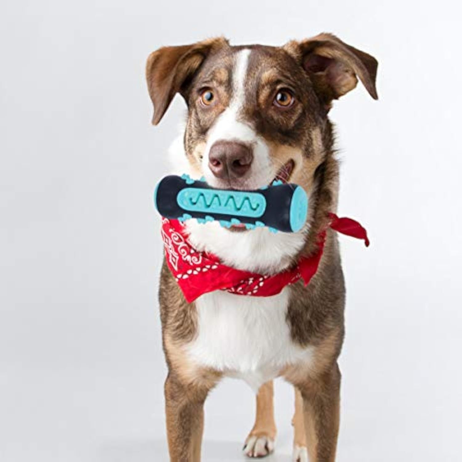 Teether Molar Toys For Dogs