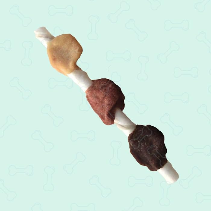 Dental Kabobs Dog Chews Spearmint 10 Count