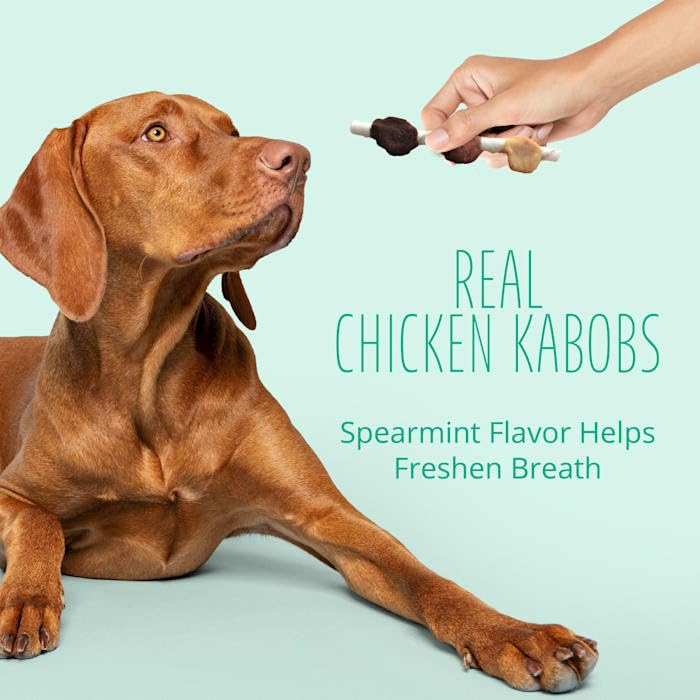 Dental Kabobs Dog Chews Spearmint 10 Count