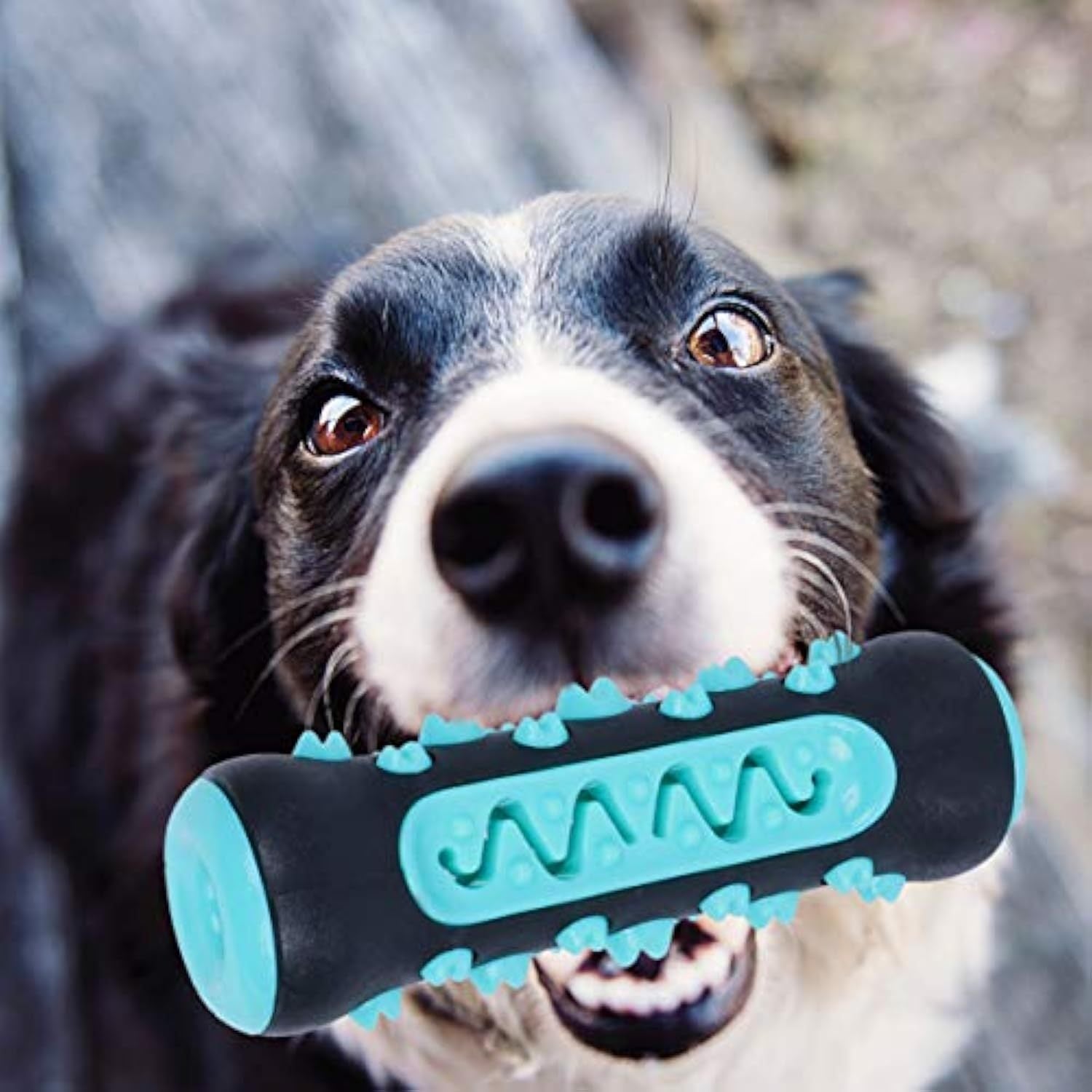 Teether Molar Toys For Dogs