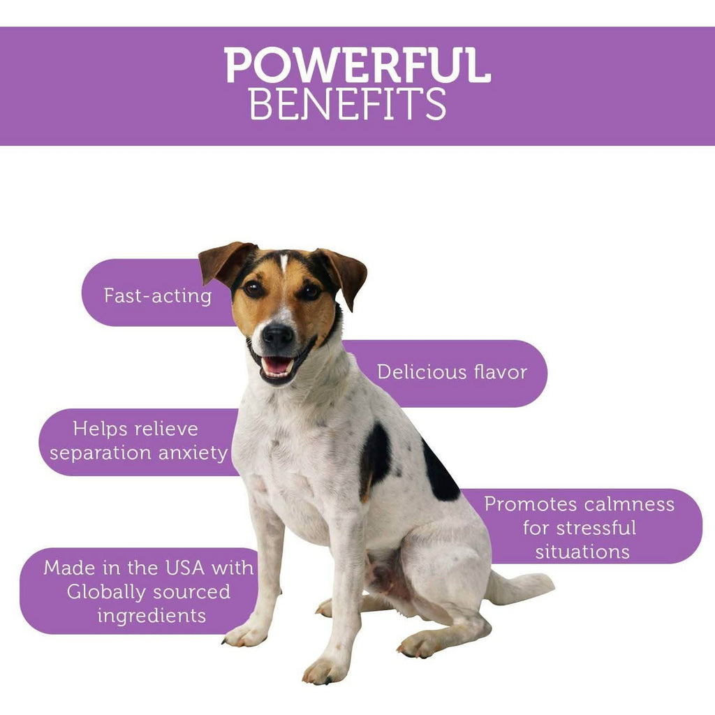Dog Calming Treats - Pet Anti Anxiety Supplement